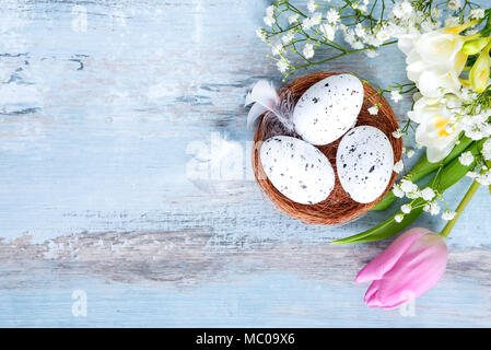 Blick von oben auf die Ostereier im Nest. Frühling Blumen und Federn über Blau rustikal Holz Hintergrund. Stockfoto