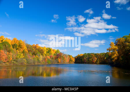 Teich im Herbst, AW Stanley Park, New Britain, Connecticut zu senken Stockfoto