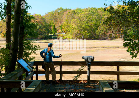 Salzwiesen Observation Deck, Salzwiese Unit-Stewart B. McKinney National Wildlife Refuge, Connecticut Stockfoto