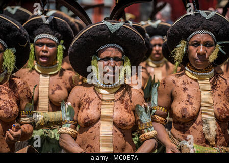 Eine Gruppe von Suli Muli Frauen von Enga tanzen mit runden das menschliche Haar Kopfschmuck, Mount Hagen Show, Papua-Neuguinea Stockfoto