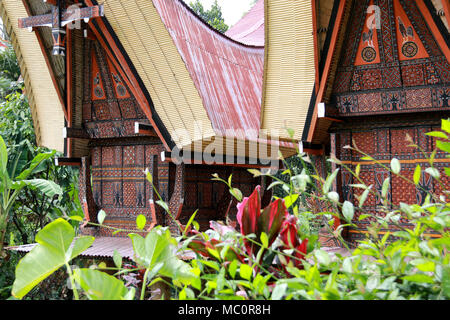 Tongkonans, traditionelles Toraja Häuser mit massiven Höhepunkt - Dächer, in einem Dorf in der Nähe von Ke'te'Ke u, Toraja, Sulawesi, Indonesien Stockfoto