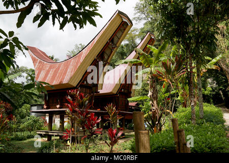 Tongkonans, traditionelles Toraja Häuser mit massiven Höhepunkt - Dächer, in einem Dorf in der Nähe von Ke'te'Ke u, Toraja, Sulawesi, Indonesien Stockfoto