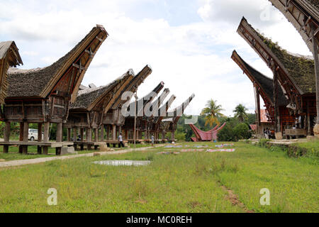 Tongkonans, traditionelles Toraja Häuser mit massiven Höhepunkt - Dächer, in einem Dorf in der Nähe von Ke'te'Ke u, Toraja, Sulawesi, Indonesien Stockfoto