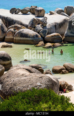 Afrikanische Pinguin (Jackass Pinguin) auf Felsen, oberhalb ein Trio der Schwimmer im Wasser am Boulders Beach National Park, Simonstown, Südafrika Stockfoto