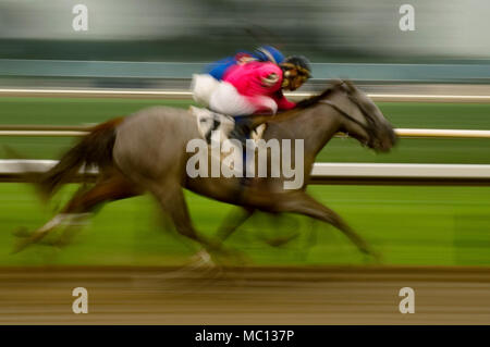 Kentucky, USA - 20. August 2006: Verschwommenes motion Aktion Schuß von zwei Jockeys Hals Hals auf ihren Pferden beim Pferderennen im Ellis Park Race trac Stockfoto