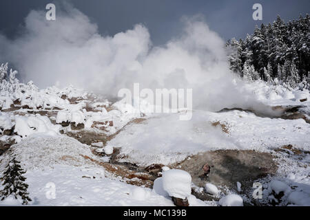 Steamboat Geysir, der weltweit höchsten aktiven Geysir freimachen kann 300 Fuß hoch, ist die Herstellung von Wolken durch heißen Dampf an diesem kalten Wintertag, Norris Geyser B Stockfoto