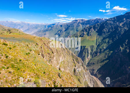 Colca Canyon ist eine Schlucht des Colca River im Süden Perus Stockfoto