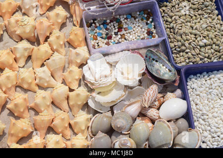 Verschiedene Arten von Muscheln werden am Kanyakumari Strand von lokalen Verkäufern für Touristen am Kanyakumari Strand Tamil Nadu Indien Asien verkauft Stockfoto