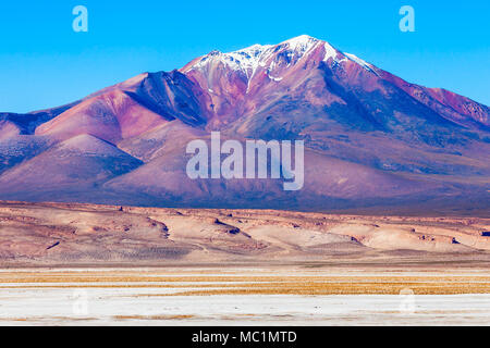 Ollague oder Ullawi ist ein massiver Andesit Stratovulkan in den Anden an der Grenze zwischen Bolivien und Chile. Stockfoto