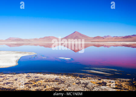 Laguna Colorada, Red Lake ist eine flache Salt Lake im Südwesten des Altiplano von Bolivien Stockfoto