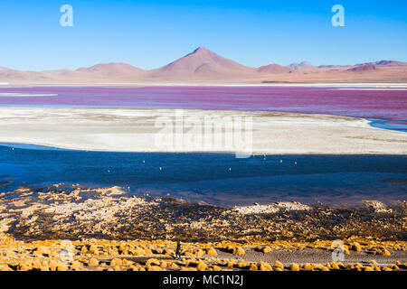 Laguna Colorada (Roter See) ist der schönste See im Altiplano von Bolivien Stockfoto