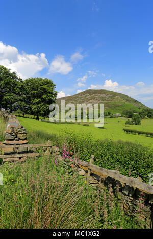 Die mosedale Tal und Carrock fiel, Nationalpark Lake District, Cumbria, England, UK Carrock fiel ist einer der 214 Wainwright Fells. Stockfoto