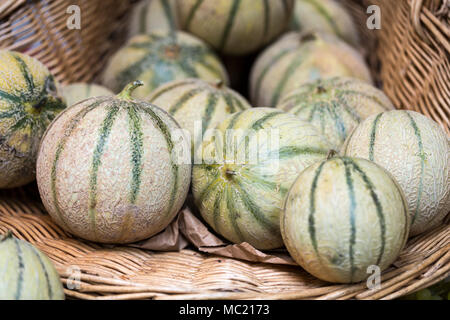 Melonen Melonen auf einem Marktstand Stockfoto