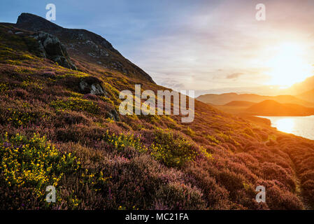 Atemberaubenden Sonnenaufgang Landschaft über Cregennen Seen mit Cadair Idris im Hintergrund, im Snowdonia Stockfoto