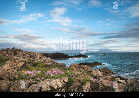 Querformat von Snowdonia Bergkette von ynys Llanddwyn Insel Angelsey bei Sonnenuntergang Stockfoto