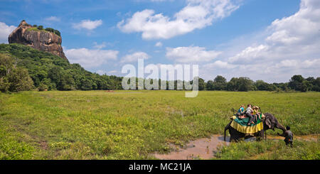 Horizontale Panoramablick auf einem Elefanten Trekking weitergegeben oder Sigiriya Lion's Rock in Sri Lanka. Stockfoto