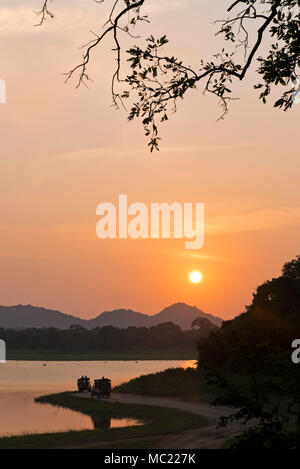 Vertikale Ansicht von Touristen am See geparkt der Sonnenuntergang an Minneriya National Park in Sri Lanka zu beobachten. Stockfoto