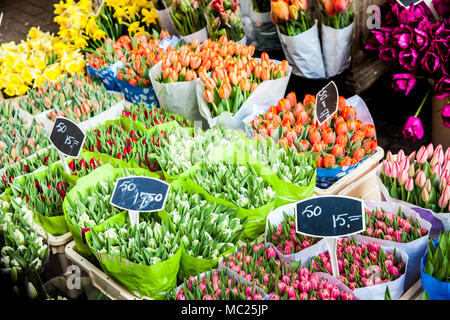Blumensträuße von Tulpen Stockfoto