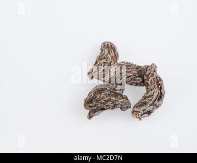 Getrocknet gesalzen Pfirsich (chinesische Pflaume, Japanische Aprikose) Auf dem Hintergrund Stockfoto