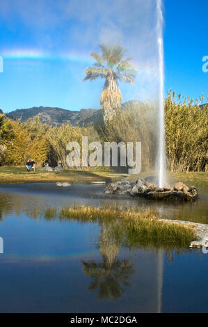 Old Faithful Geyser von Kalifornien eine von nur drei "Gläubigen" Geysire der Welt wegen seiner regelmäßigen Eruptionen. Stockfoto