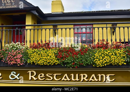 Detail der Veranda mit Metallgeländer und Töpfe Blumen leuchtend gelben Restaurant in der Nähe von Bunratty Castle. Stockfoto