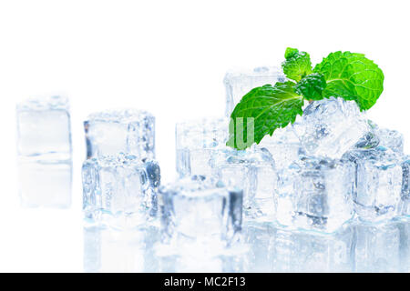 Minze auf Ice Cube auf weißem Hintergrund Stockfoto