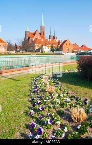 Blumen in Ostrow Tumski, Wroclaw, Polen, April 2018 mit Türme der Kathedrale in der Rückseite Stockfoto