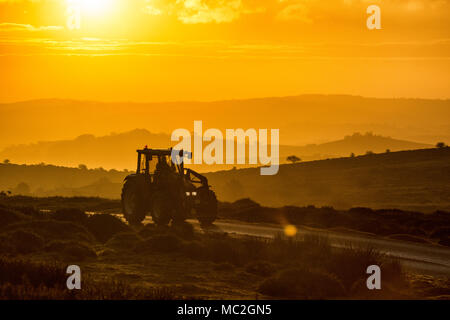 Ein Traktor ist entlang einer Straße auf Heu Tor auf Dartmoor in Devon bei Sonnenaufgang angetrieben. Stockfoto