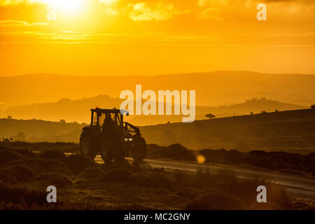 Ein Traktor ist entlang einer Straße auf Heu Tor auf Dartmoor in Devon bei Sonnenaufgang angetrieben. Stockfoto