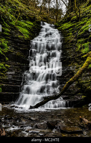 Brechen Sie den Hals Wasser Wasserfall in der Warren Holz. Innerhalb von Radnor Forest, Wales. Die Warren hat sich zu einem beliebten Ort für Touristen seit über 200 Jahren Stockfoto
