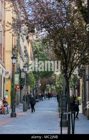 Die Spring Street Szene in der Calle Huertas im Barrio de las Letras, Madrid, mit Touristen gehen unter blühenden Bäumen Stockfoto