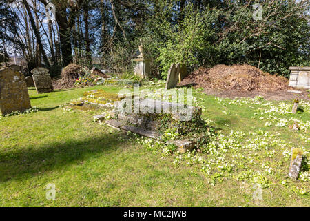 St. Mildred's Kirchhof im frühen Frühjahr, mit interessanten Gewölbedecken Gräber mit Primeln im Gras, Tenterden, Kent Stockfoto