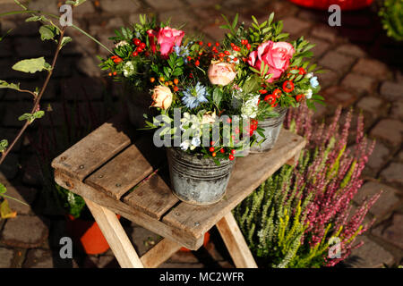 Sommer Blumen in Blumentöpfe auf einem Blumenmarkt, Bremen, Deutschland, Europa ich Sommerblumen in Blumenkübeln mit dem Blumenmarkt, Bremen, Deutschland, Eu Stockfoto