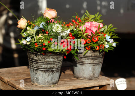 Sommer Blumen in Blumentöpfe auf einem Blumenmarkt, Bremen, Deutschland, Europa ich Sommerblumen in Blumenkübeln mit dem Blumenmarkt, Bremen, Deutschland, Eu Stockfoto