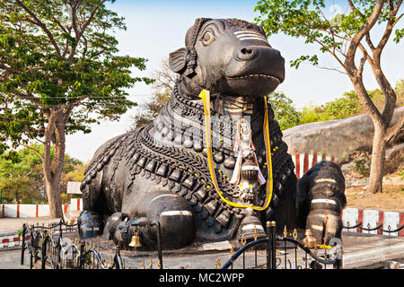 Sehr große Metallgegenstände Nandy Statue in Mysore Stockfoto