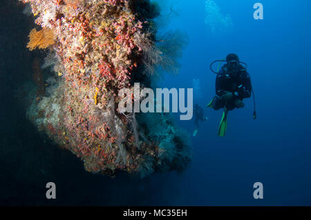 Schöne Unterwasser reefscapes Stockfoto