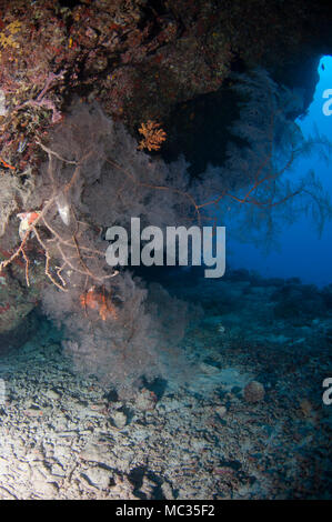 Schöne Unterwasser reefscapes Stockfoto