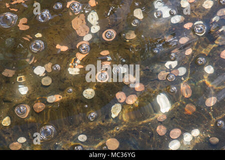 Möchten Erfüllung Springbrunnen. Münzen unter Wasser in einem Garten Springbrunnen. Großbritannien Stockfoto