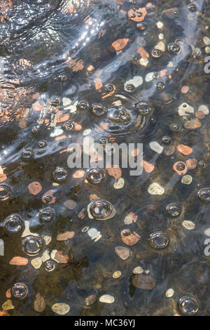 Möchten Erfüllung Springbrunnen. Münzen unter Wasser in einem Garten Springbrunnen. Großbritannien Stockfoto