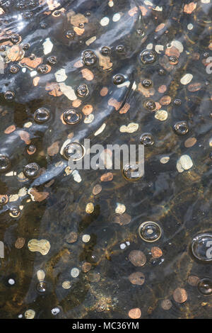 Möchten Erfüllung Springbrunnen. Münzen unter Wasser in einem Garten Springbrunnen. Großbritannien Stockfoto