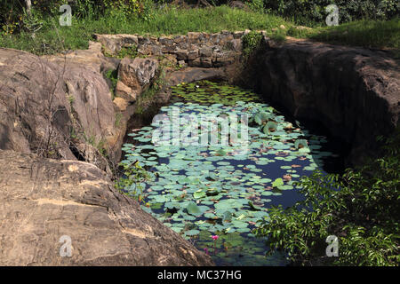 Avukana alten Rock Temple Kekirawa North Central Provinz Sri Lanka Lily Pond Stockfoto