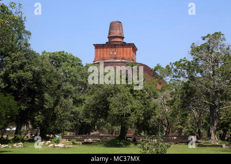 Anuradhapura North Central Provinz Sri Lanka Jetavanarama Dagoba Stockfoto