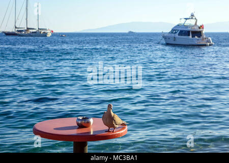 Küste bei Bodrum, Mugla, Türkei Stockfoto