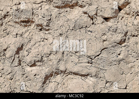 Horizontale Oberfläche der Wand von hellbrauner Farbe mit rauhputz von Ton, Steine und Schutt, Textur für Hintergrund. Stockfoto