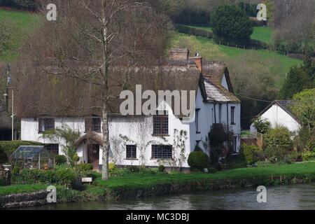 Bickleigh Cottage am Ufer des Flusses Exe im frühen Frühling. Ein Reetdachhaus aus dem 17. Jahrhundert. Tiverton, Devon, Großbritannien. April, 2018. Stockfoto