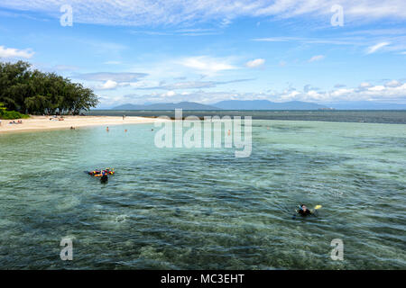 Touristen Schnorcheln auf Green Island, Great Barrier Reef Marine Park, Far North Queensland, Queensland, FNQ, GBR, Australien Stockfoto