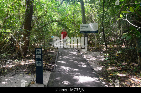 Touristische Spaziergänge auf der Promenade durch den Regenwald im Green Island National Park, Great Barrier Reef, Far North Queensland, Queensland, FNQ, GBR, Austra Stockfoto