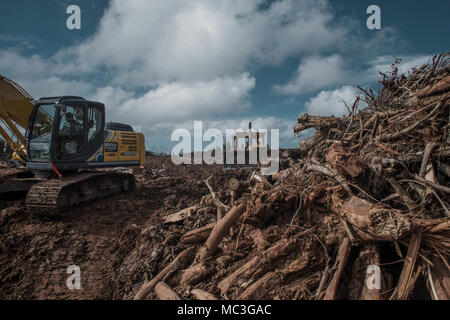 NARANJITO, Puerto Rico, Jan. 8, 2018 -- Angestellte der Gemeinde Naranjito sammeln Schmutz zu den regionalen Deponie in der Gemeinde Toa Baja entfernt. Stockfoto