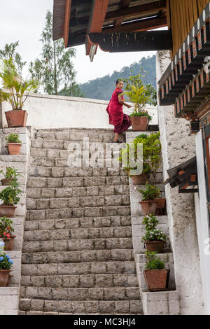 Die Ansicht der Punakha Dzong als Palast des Großen Glück in Punakha, Bhutan als Stockfoto