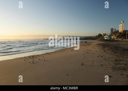 Durban, KwaZulu-Natal, Südafrika, Leute genießen surfen Aktivitäten auf den Vormittag an der Golden Mile, Strand, Landschaft Stockfoto